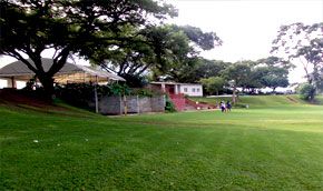 Open green lawn