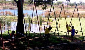 Swings under the trees