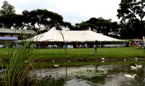 Wedding setup at Kingfisher Park
